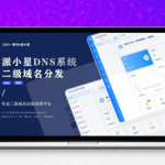 2025派小星DNS二级域名分发源码