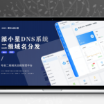 2025派小星DNS二级域名分发系统源码下载