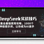 DeepSeek实战技巧资源包：最强使用攻略+1000神级提示词合集