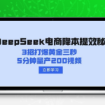 DeepSeek电商降本提效秘籍课程资源包（含视频教程）