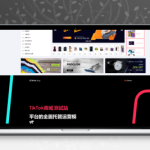 TikTok商城系统源码下载|电商落地页程序PHP源码|完整环境配置包
