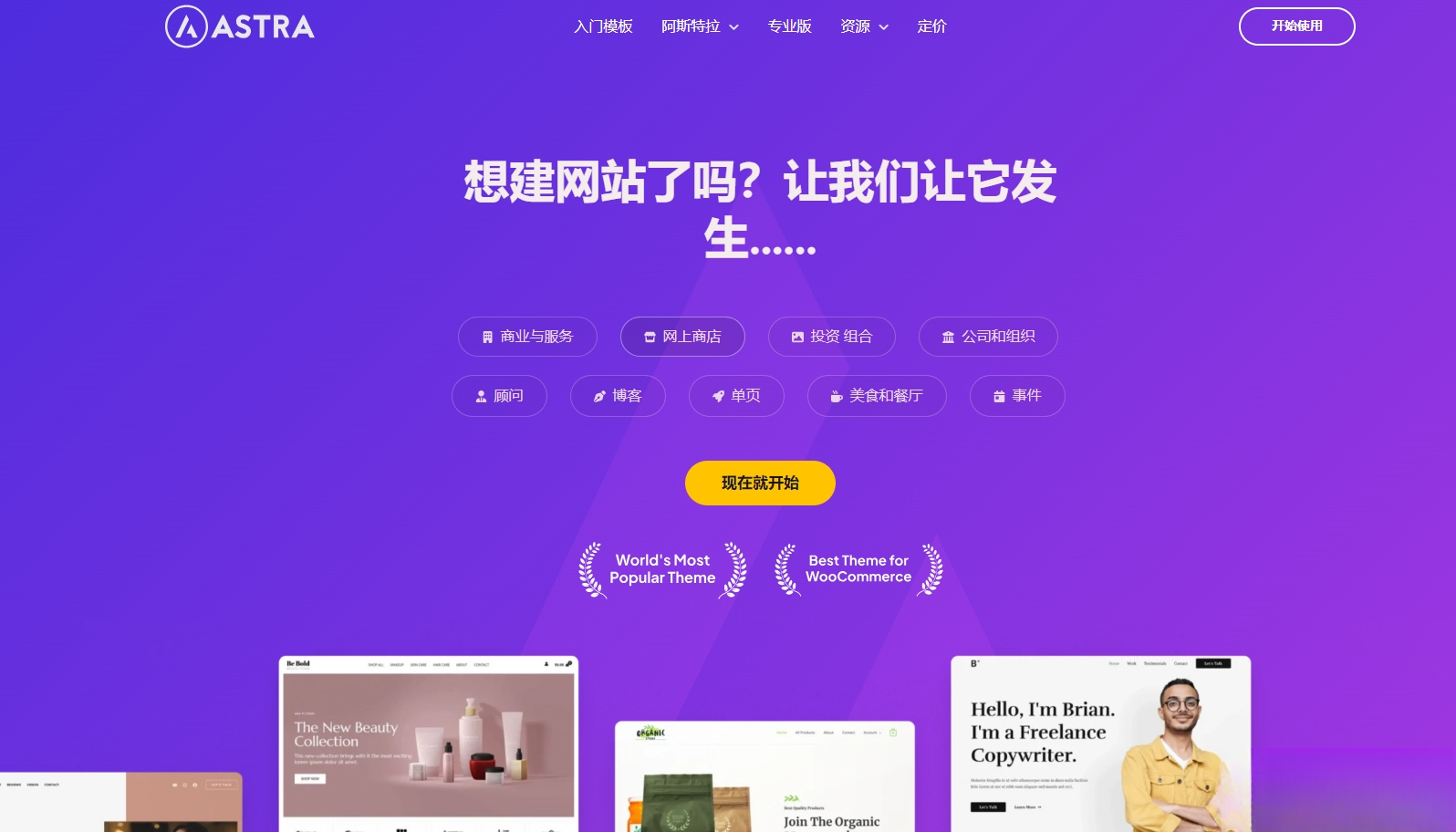 Astra独立站全套主题整理 带pro版插件