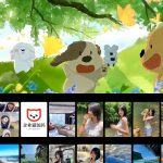 摄影作品展示网站源码 完美适配iPad平板 支持服务器部署与纯HTML运行