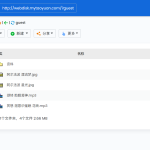 桃源网络硬盘 v7.4 .NET 开源网盘系统源码发布